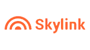 Логотип компании Skylink - клиент партнера фирмы 1С ООО "Эксперт".